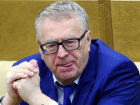 Жириновский заявил о необходимости отменить новогодние каникулы из-за массового пьянства 