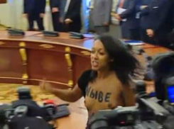 Обнаженной грудью попыталась сорвать встречу Порошенко и Лукашенко кричащая девушка