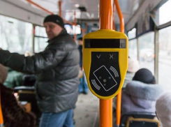 Примария запустила онлайн-опрос, связанный с общественным транспортом