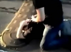 Лучшего на постсоветском пространстве медвежатника схватили в Кишиневе