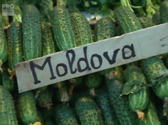 На рынках столицы появились первые молдавские огурцы по заоблачным ценам 
