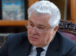 Воронин: мы теряем весьма значительную часть суверенитета страны