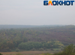 Завтра будет еще жарче, но усилится ветер