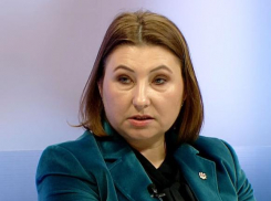 Депутат PAS: участники марша 9 мая - лицемерные агенты Кремля