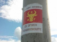 Молдавский язык назвали государственным абсолютное большинство граждан нашей страны