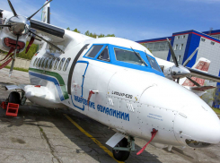 Девочка оказалась единственной выжившей при крушении самолета в России: шесть человек погибли