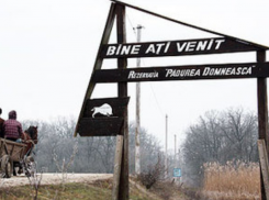 Семья убитого на охоте в «Pădurea domnească» получит компенсацию в 1 миллион леев