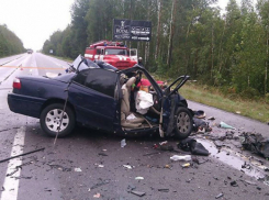 Гибель пятерых украинских политологов в ДТП объявили умышленным убийством