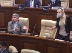 Таубер настолько достала Жиздана своими истериками в парламенте, что тот попросил пересадить его подальше от нее