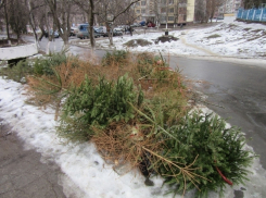 Куда в Кишиневе можно сдать на переработку использованную елку 