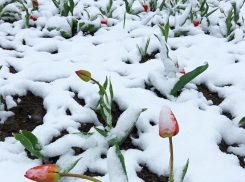 Вниманию водителей: к поездкам в Украину и Румынию следует тщательно подготовиться 