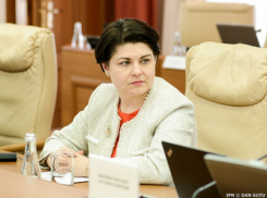 Однопартиец Гаврилицы поднял ее на смех из-за скрытого от налоговиков дома 