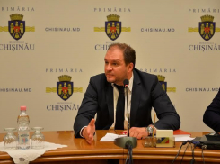 В Мунсовете потребовали экстренно рассмотреть случай с задавившим женщину деревом 