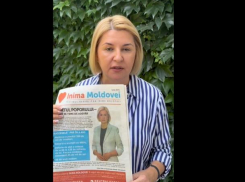 Обращение Ирины Влах: «полиция, верните газету»