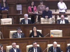 Зотю и Гимпу возмутил «урок дисциплины» от Канду после «варварской вырубки деревьев»