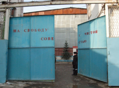 Сюрпризы от правительства: меньше денег на армию и сельское хозяйство, больше – на тюрьмы