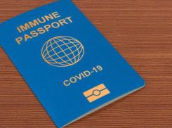 Молдову могут подключить к системе проверки ковид-сертификатов