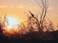 В пятницу в Молдове будет не по сезону тепло и солнечно 