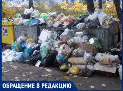 На простом примере - как в Кишиневе можно за пару часов решить проблему невывоза мусора