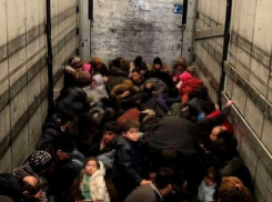 Заполненную мигрантами фуру попытался вывезти из Румынии сербский водитель