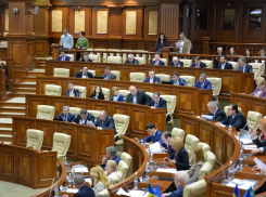 Социалисты раскритиковали контракт с компанией из США: Из нас делают аборигенов, за банан продающих страну