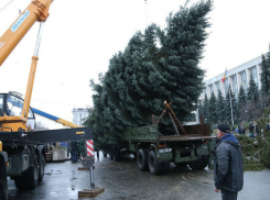 Новую главную ёлку Молдовы вместо облезлой «украинки» установила на площади Сильвия Раду