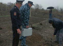 Человеческие останки обнаружил на своем дачном участке житель Приднестровья