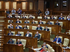 Одномандатная система принята в первом чтении. Социалисты: Будет скандал