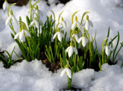 Календарь: 24 февраля в Молдове и Румынии празднуют Драгобете