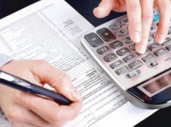 В этом году декларацию о доходах подали на 35 тысяч человек больше 