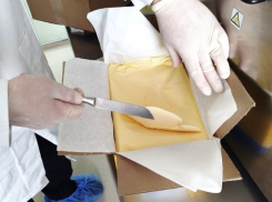 Более 13 тонн продуктов не прошли проверку – нарушения выявили на границе