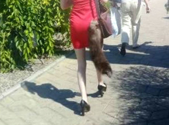 Стройную девушку в мини-платье с «дохлой кошкой» высмеяли жители Кишинева