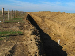 На границе с Молдовой пограничники открыли огонь: погиб 23-летний парень из Харькова