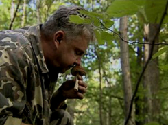 Страстный грибник неожиданно попал на камеры видеонаблюдения и взбудоражил пограничные службы двух государств