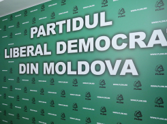ЛДПМ созвала Национальный политический совет партии 