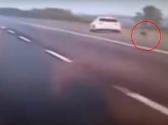 Сумасшедший прыжок обиженной любовником девушки из машины на скорости 96 км/ч сняли на видео 