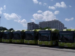 В пригородах Кишинева начали курсировать автобусы с пробегом из Норвегии