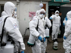 В Молдове выявлено 653 новых случая COVID-19   