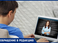 Как дети учатся онлайн? Мама ученика поделилась впечатлениями и высказала пожелания