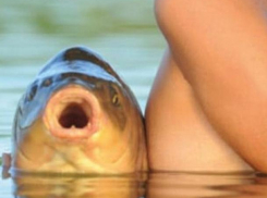 Обнаженные красавицы с карпами снялись для немецкого эротического календаря