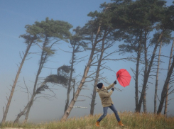 Молдову снова захлестнут шальные ветра