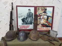 Минобразования взялась за выставку «Бессмертный Сталинград», раздувая «пропаганду войны»
