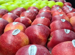Видимость, а не квоты: как власти предлагают продвигать местные продукты