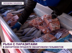 Зараженная глистами рыба: скандал и последствия