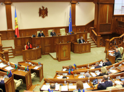 Радикальную реформу правительства принял в первом чтении парламент 