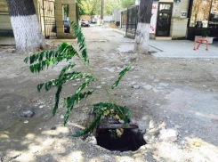 На бульваре Штефана чел Маре обнаружили очередную яму