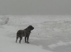 В Молдове ожидаются мокрый снег и гололёд: синоптики предупреждают о сложной погоде