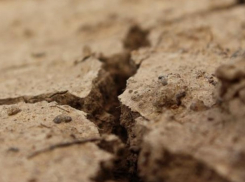 В Молдове планируют создать приложение, связанное с сейсмической опасностью