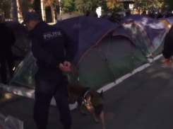 Полицейские с собаками снова обыскивают Городок Победы 
