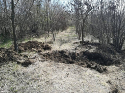 Залитую кровью комнату обнаружила мать зверски убитого подростка под Унгенами